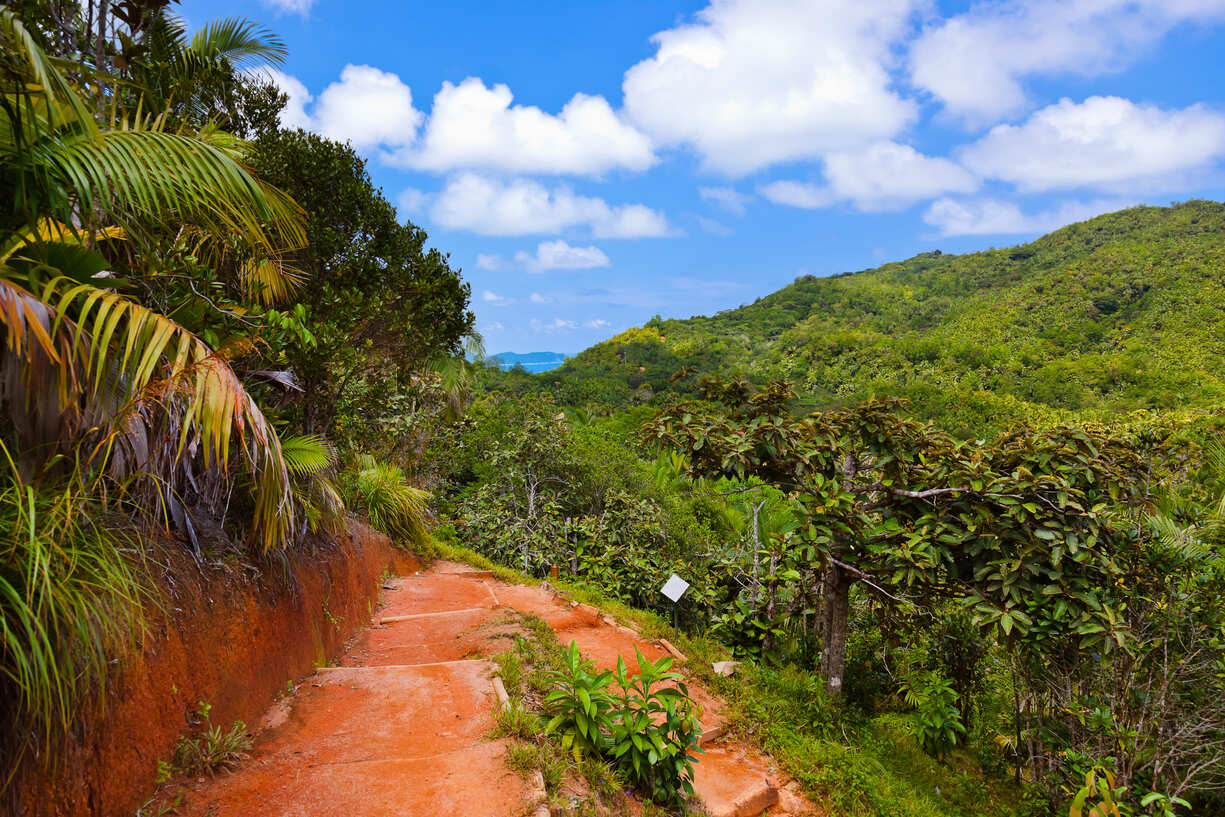 Illustration circuit : Seychelles Illustration circuit : Seychelles