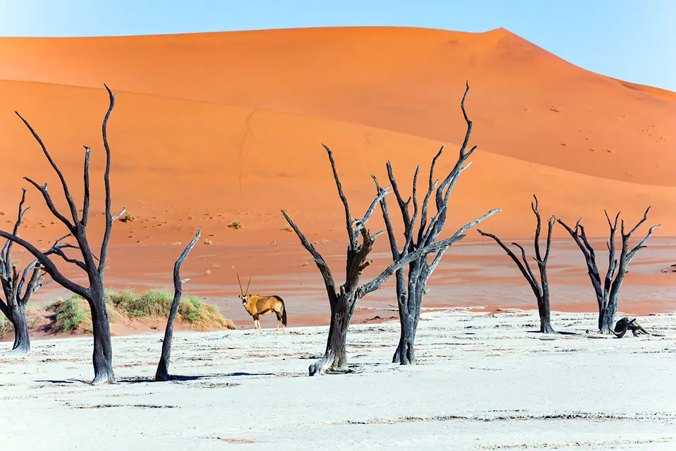 Illustration circuit : Namibie Illustration circuit : Namibie