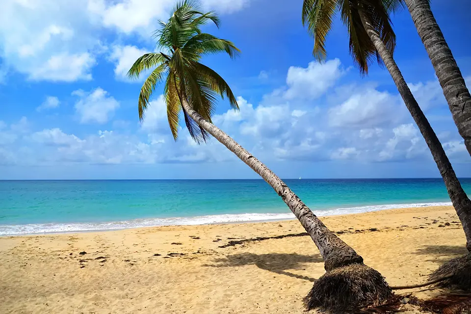 Illustration circuit : Martinique