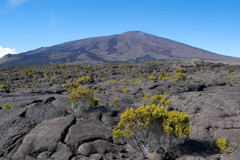Illustration circuit : La Réunion