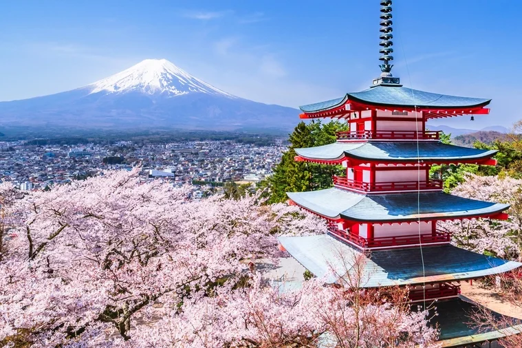 Japon Japon