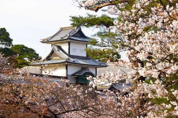 Illustration circuit : Japon Illustration circuit : Japon